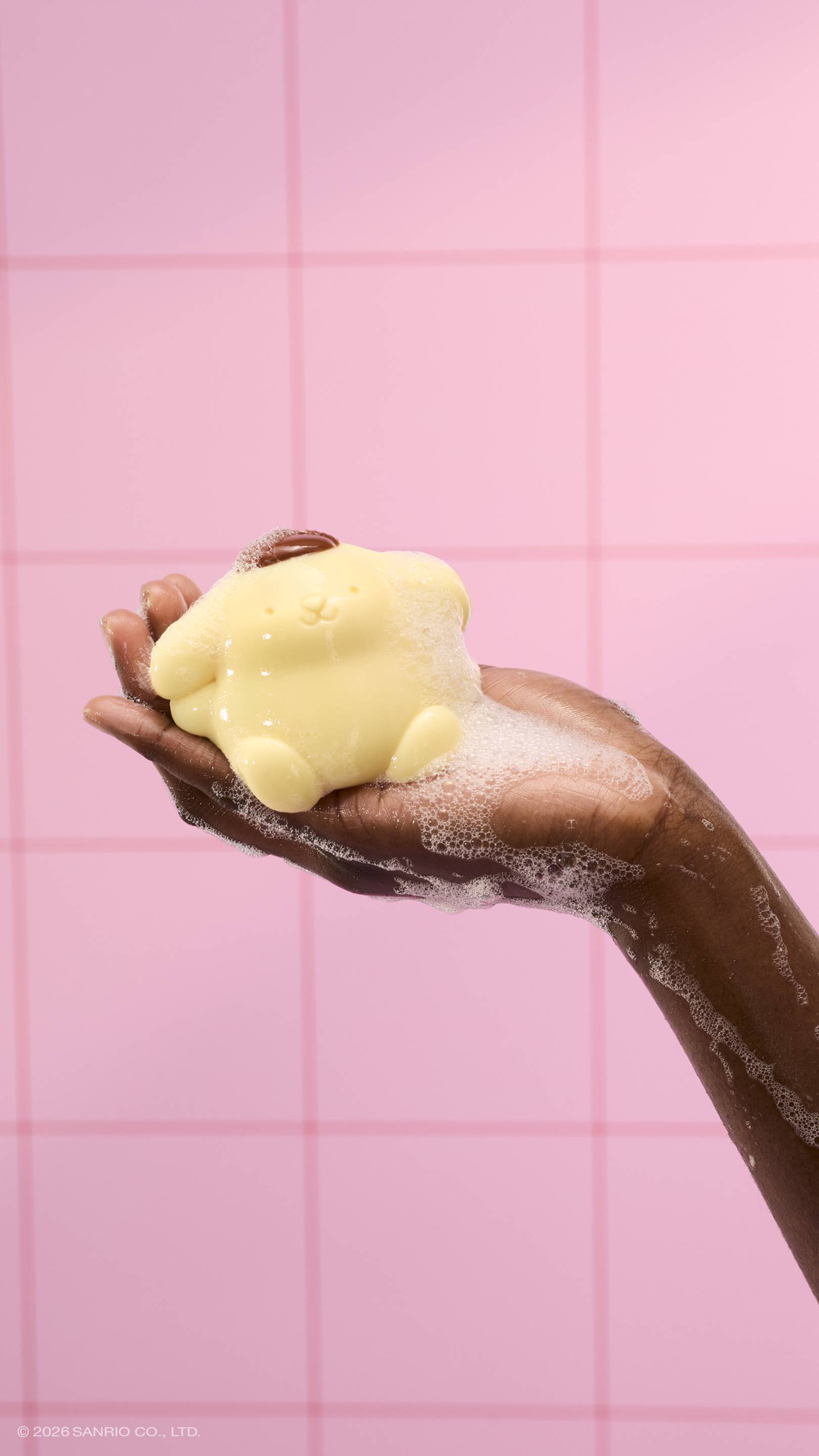 Pompompurin - Image 4