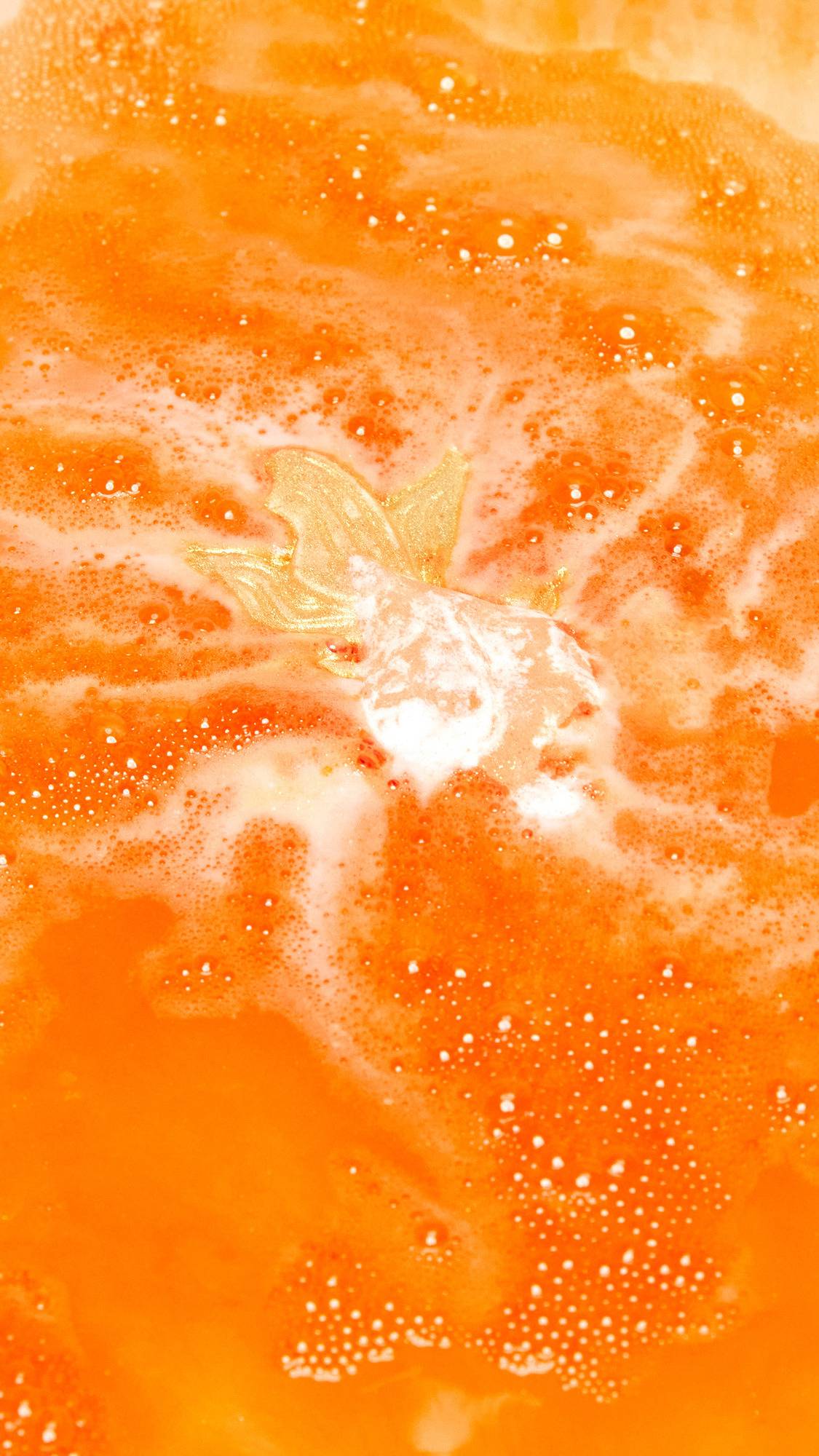 Goldfish - Image 5