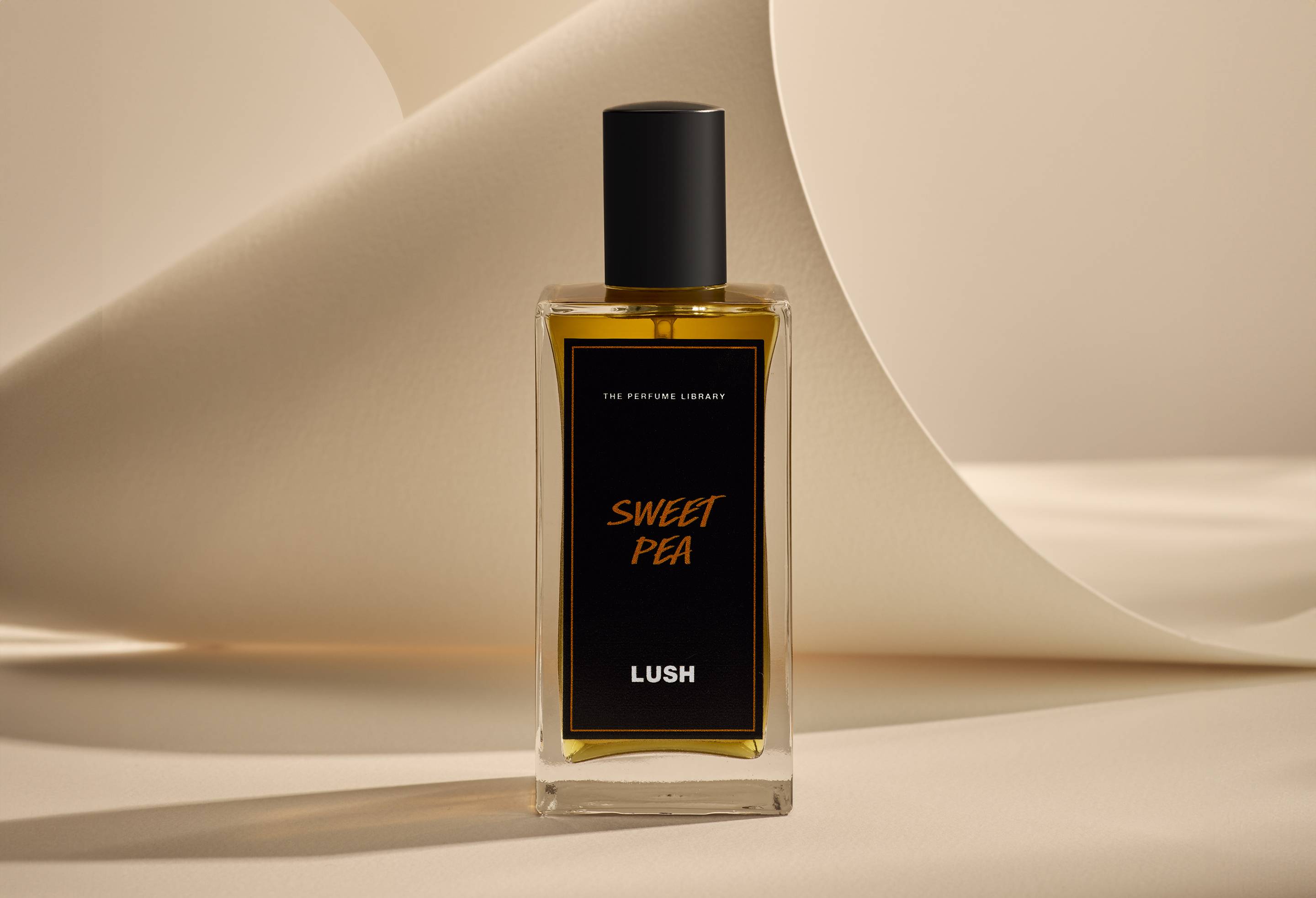 Alternative view of Sweet Pea